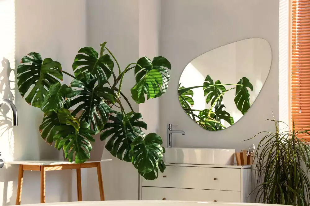 Organikus tükör dekoratív fal