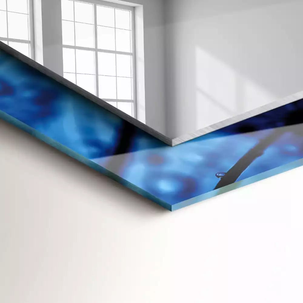 Négyszögletes dísztükör Csepp a pitypangon